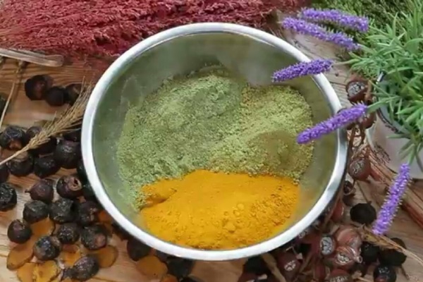 龔老師接觸植物草頭皮養護的歷程照片